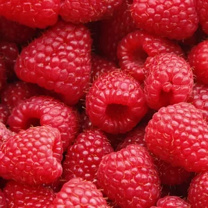 CRANBERRY